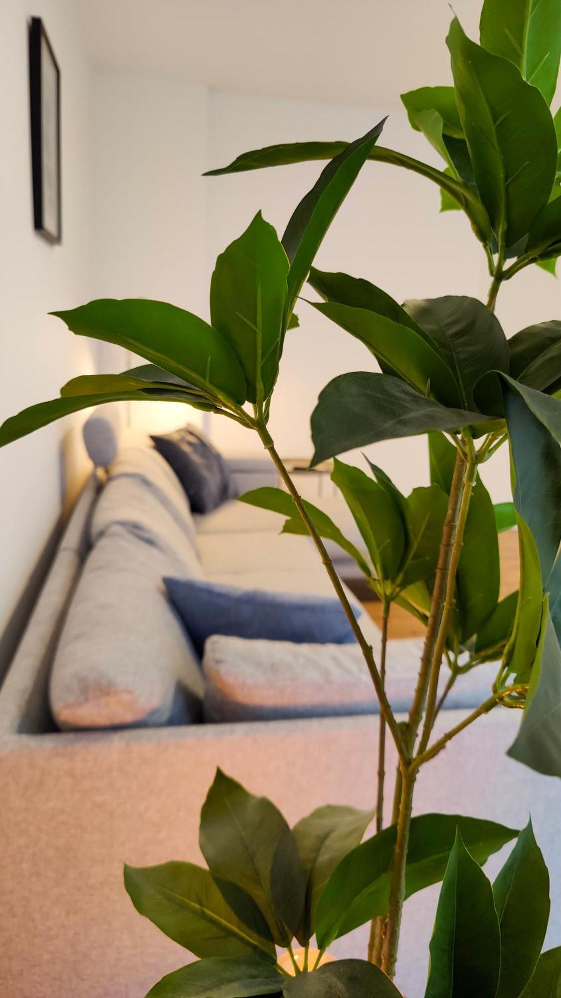 Hygge Home - Mit Garten Und Stellplatz Fuer Feriengaeste-, Monteure / Netflix / 10 Min. Zur Sinsheim Therme Und Zur Autobahn Dış mekan fotoğraf